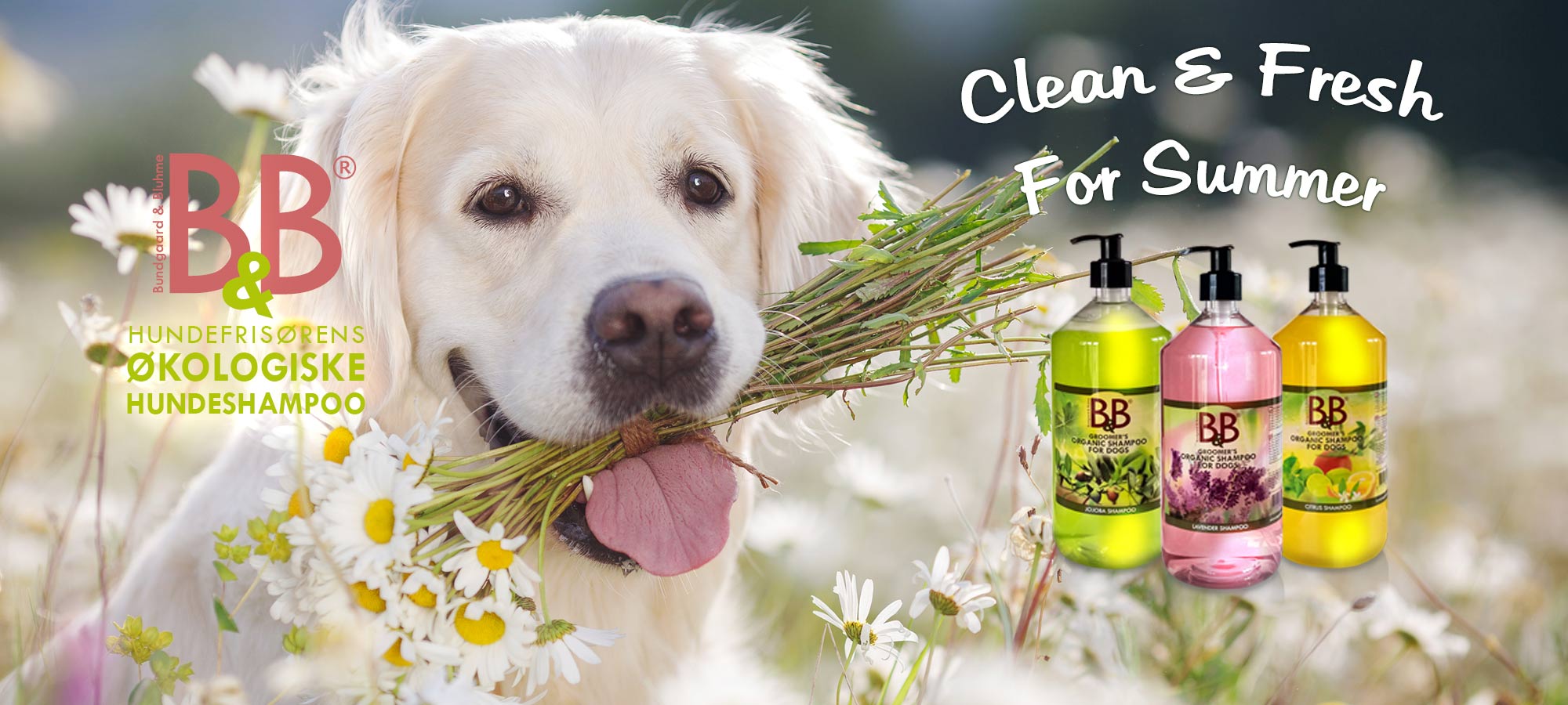 B&B Natural Pet Care