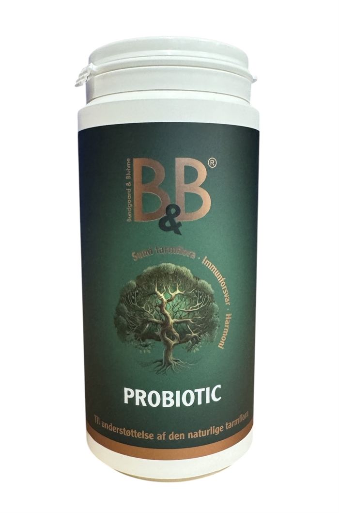 B&B Probiotic 200 g